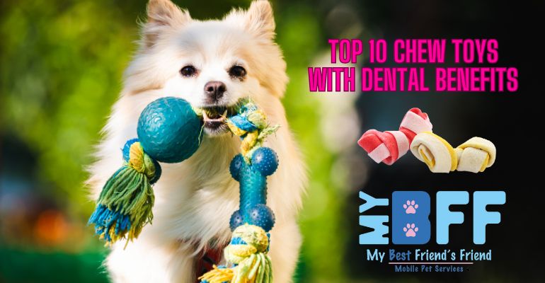 https://www.my-bff.net/wp-content/uploads/2023/11/Top-10-Chew-Toys-Teeth-Brushing-Fort-Myers-MyBFF-Mobile-Dog-Grooming.jpg