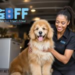 Transforming Tail-Wagging Clients One Mobile Groom at a Time