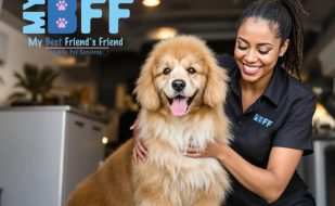 Transforming Tail-Wagging Clients One Groom at a Time . My-BFF Mobile groomer SWFL