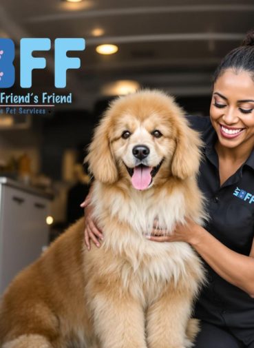 Transforming Tail-Wagging Clients One Groom at a Time . My-BFF Mobile groomer SWFL