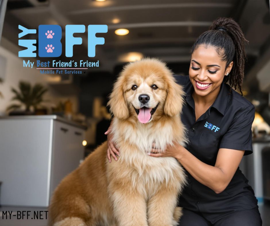 Transforming Tail-Wagging Clients One Groom at a Time . My-BFF Mobile groomer SWFL