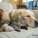 Keeping Your Pet Clean and Happy Without Leaving Home