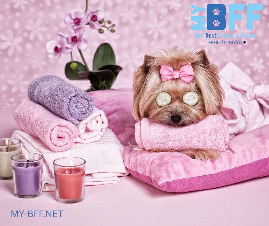 Could your pet use some pampering? Call MY-BFF Pet Services in southwest Florida