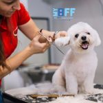 How to Be a Super Star Pet Parent