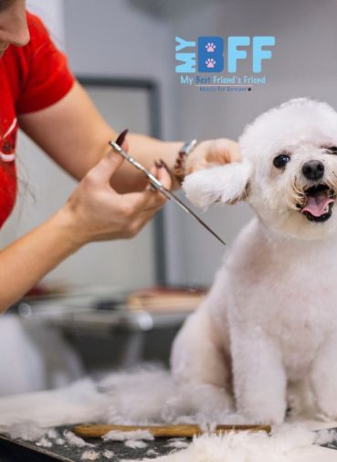 Upgrade Your Grooming Routine with Mobile Services MY BFF
