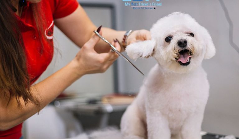 Upgrade Your Grooming Routine with Mobile Services MY BFF