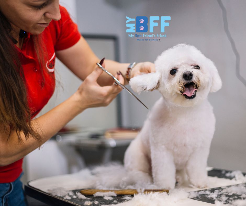 Upgrade Your Grooming Routine with Mobile Services MY BFF