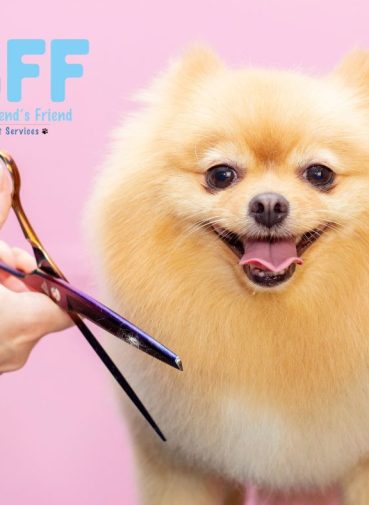 Pet Owners Trust MY BFF for Mobile Grooming in Fort Myers
