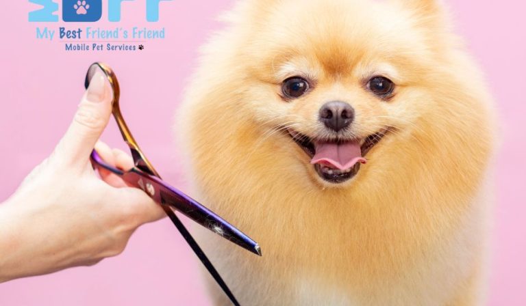Pet Owners Trust MY BFF for Mobile Grooming in Fort Myers