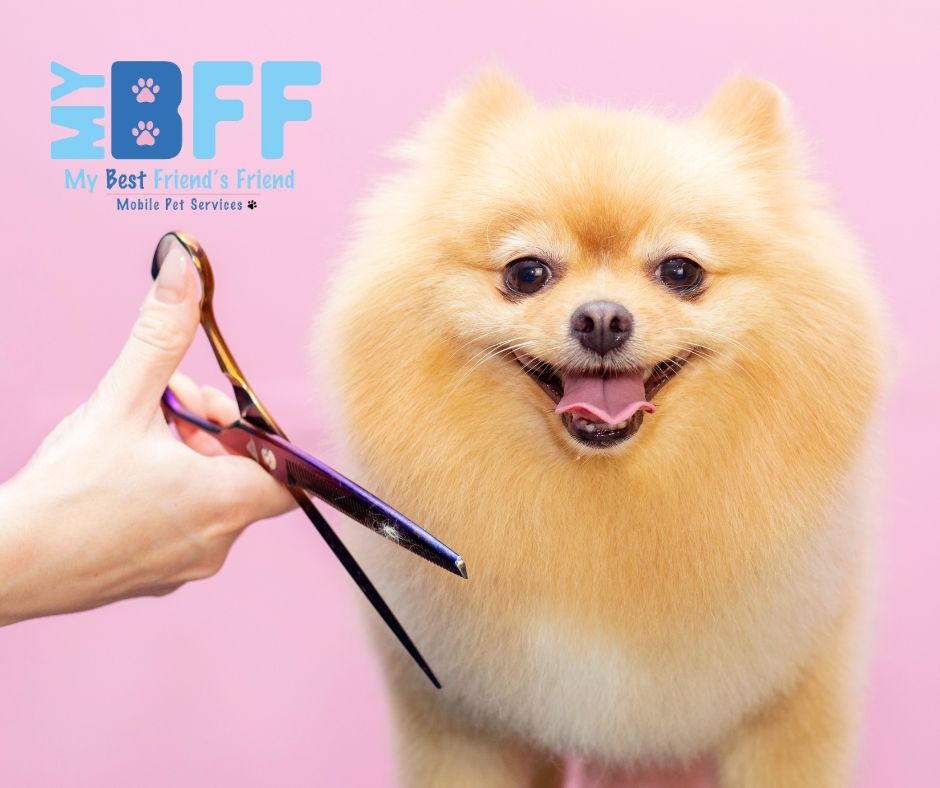 Pet Owners Trust MY BFF for Mobile Grooming in Fort Myers