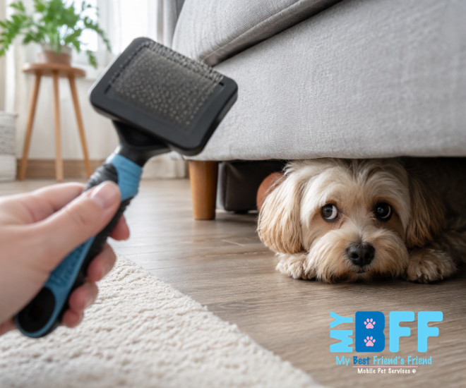 My Bff pet grooming - mobile groomer ft myers cape coral