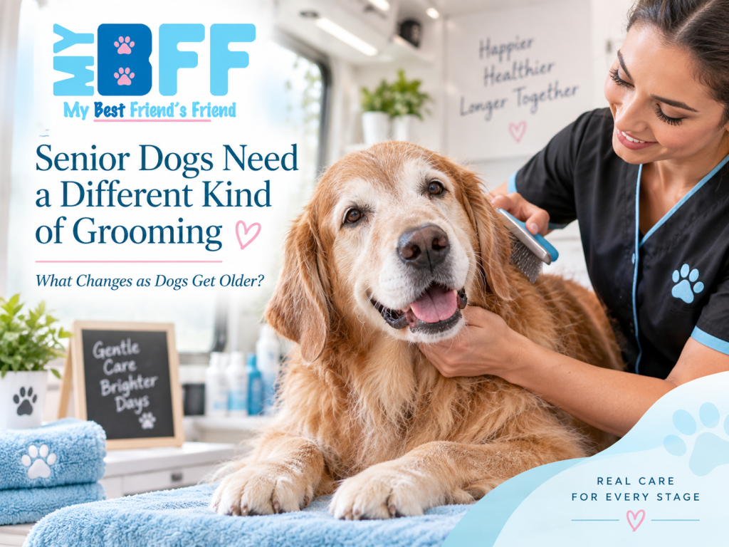 MY BFF Senior dog grooming ft myers cape coral fl