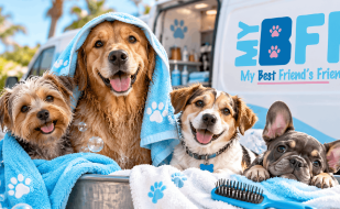 my bff mobile grooming fort myers